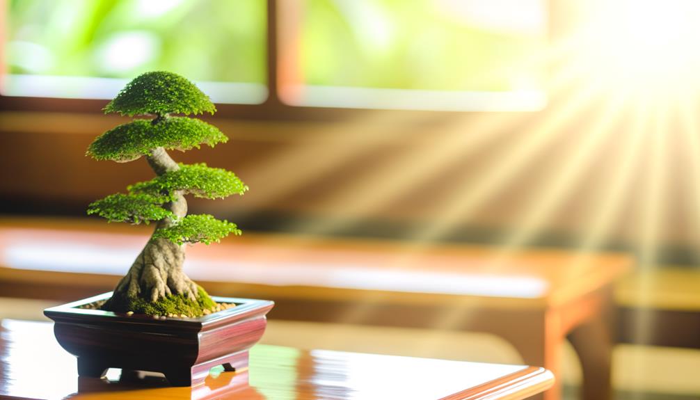 bonsai benefits indoor air