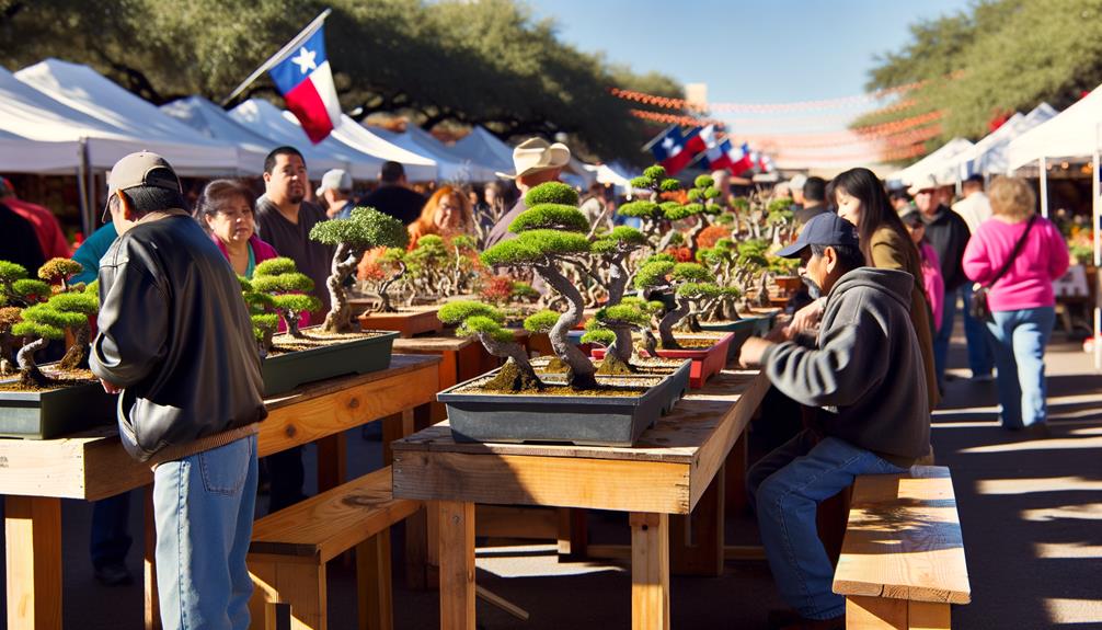 bonsai business in texas