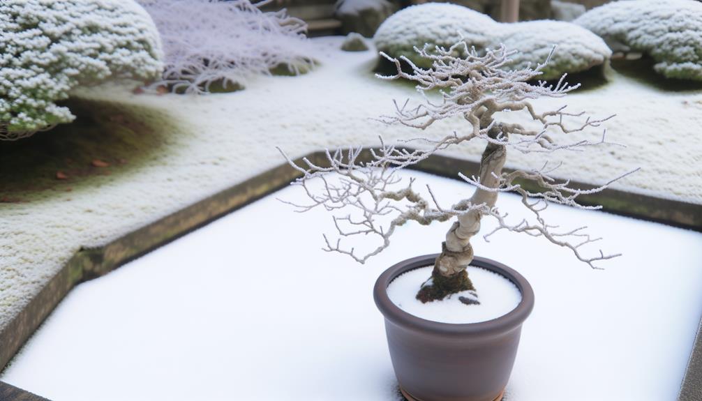 bonsai dormancy explained clearly