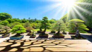 bonsai prefer partial shade