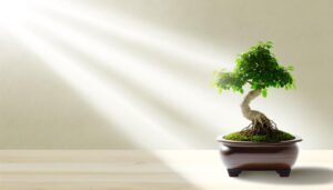 bonsai trees thrive shallow