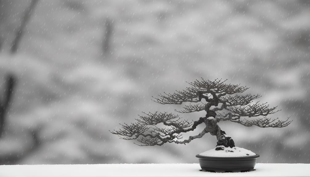 dormancy in bonsai explained