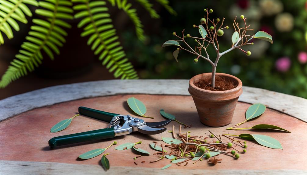 effective tree care practices