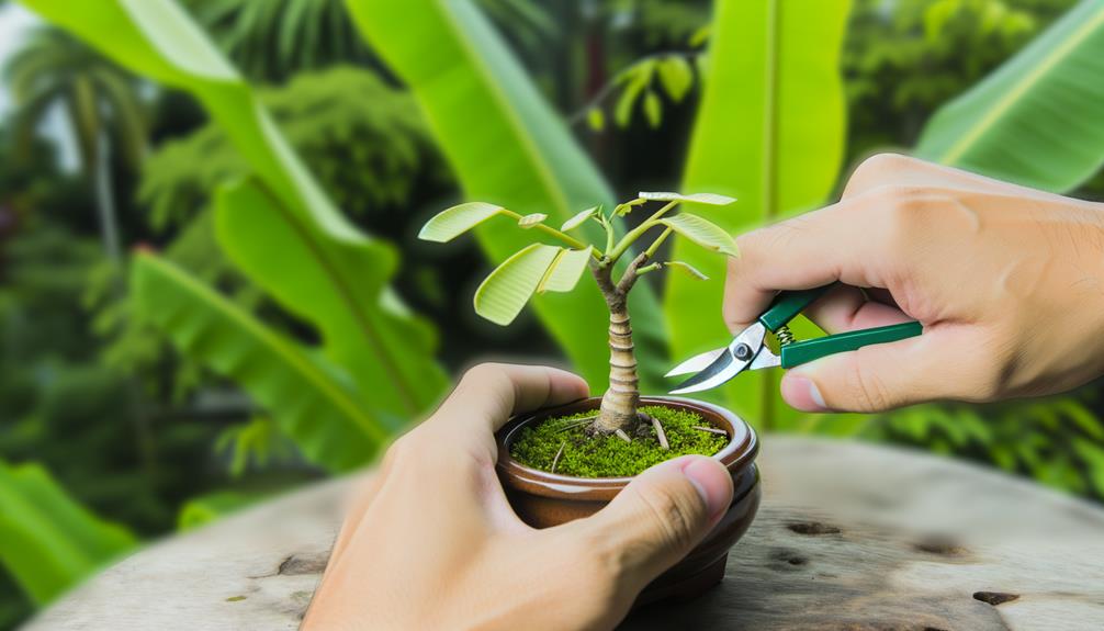 gardening shears and scissors