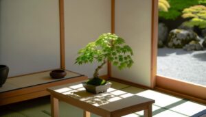 growing indoor japanese maples