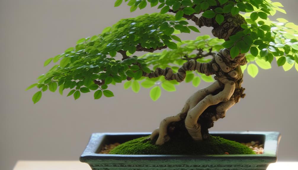 miniature tree art form