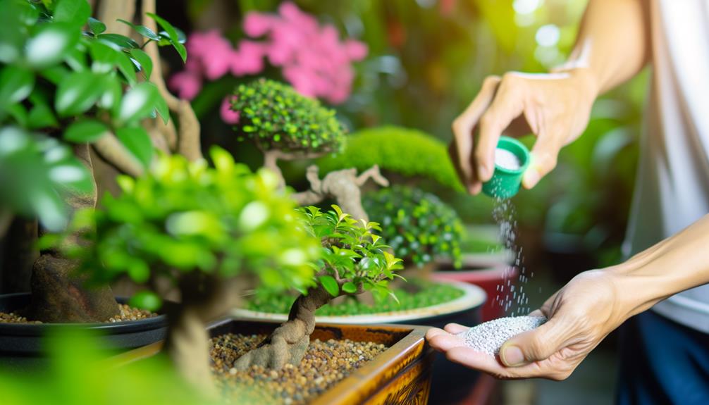 nurturing bonsai with care