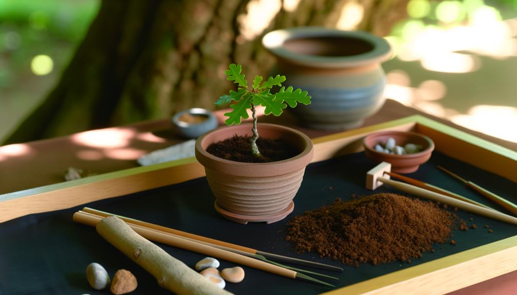 planting an oak sapling