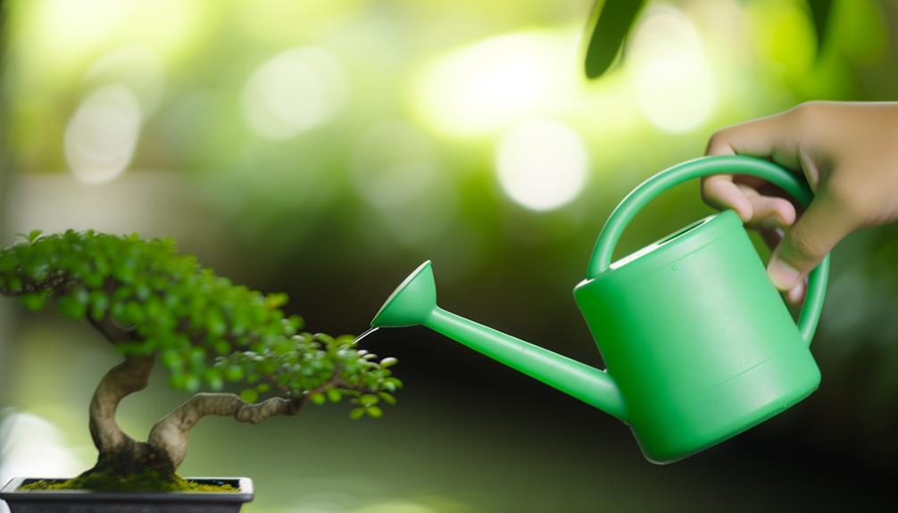 precise bonsai watering can