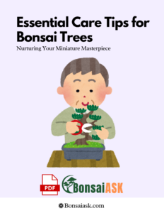 Essential Care Tips for Bonsai Trees Nurturing Your Miniature Masterpiece