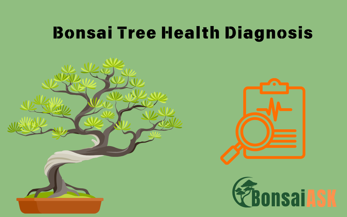 Bonsai Tree Health Diagnosis