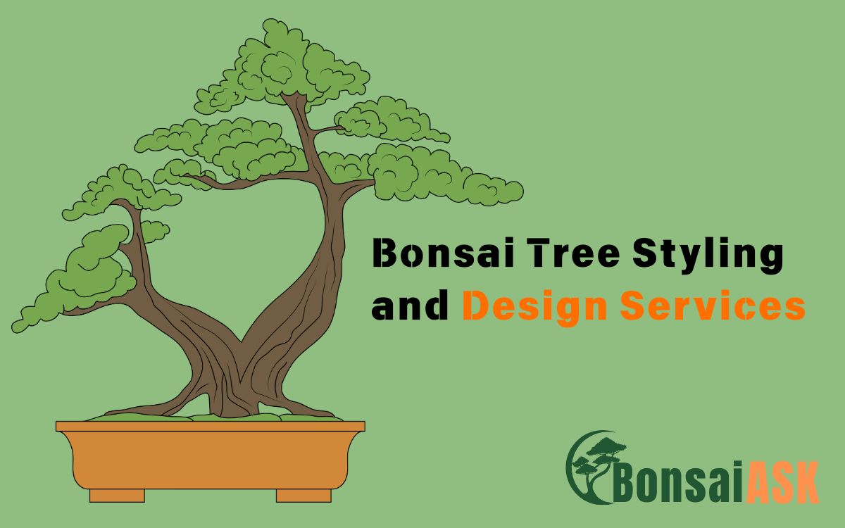 Bonsai Tree Styling and Design Services