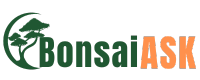 BonsaiAsk.com