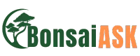 BonsaiAsk.com