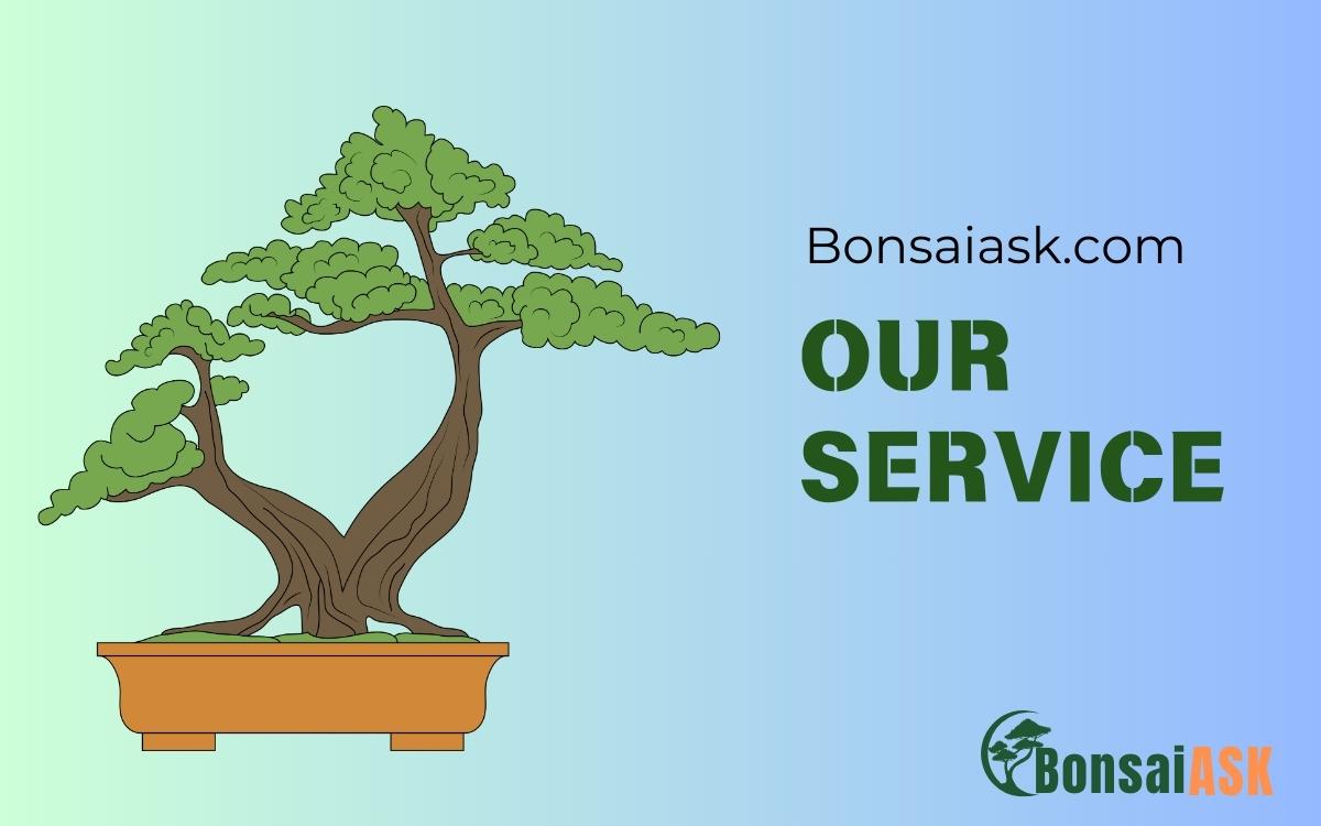 Bonsaiask Service