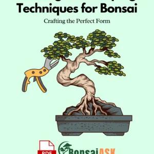 Pruning and Shaping Techniques for Bonsai Crafting the Perfect Form