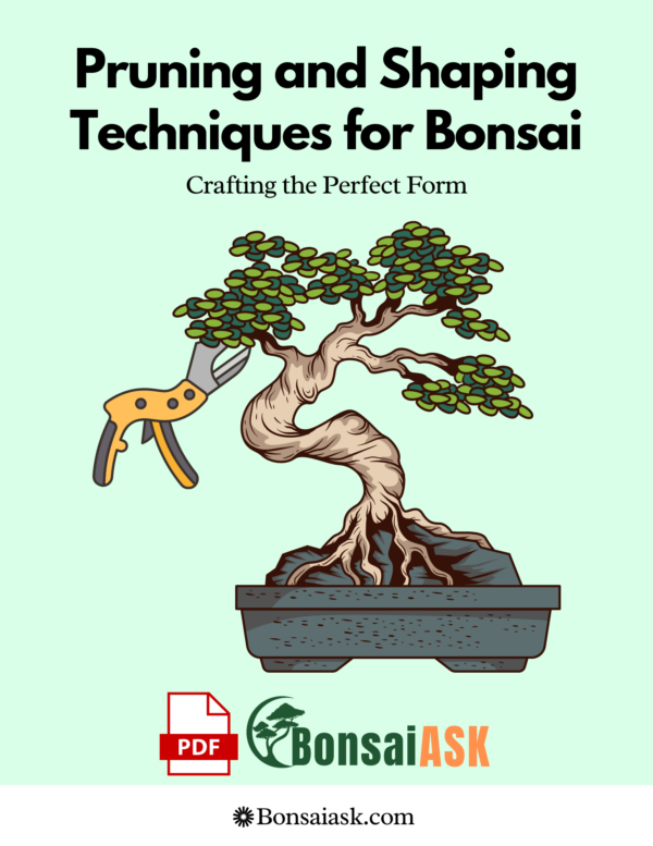 Pruning and Shaping Techniques for Bonsai Crafting the Perfect Form