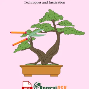 Styling Your Bonsai Techniques and Inspiration