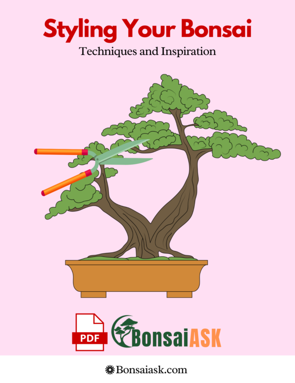 Styling Your Bonsai Techniques and Inspiration