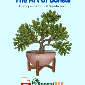 The Art of Bonsai History and Cultural Significance