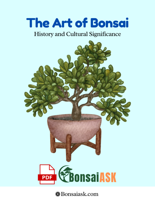 The Art of Bonsai History and Cultural Significance